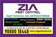 Zia Pest control copy past job for youths