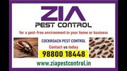 Cockroach Pest Service Up to 50% Off | Reside